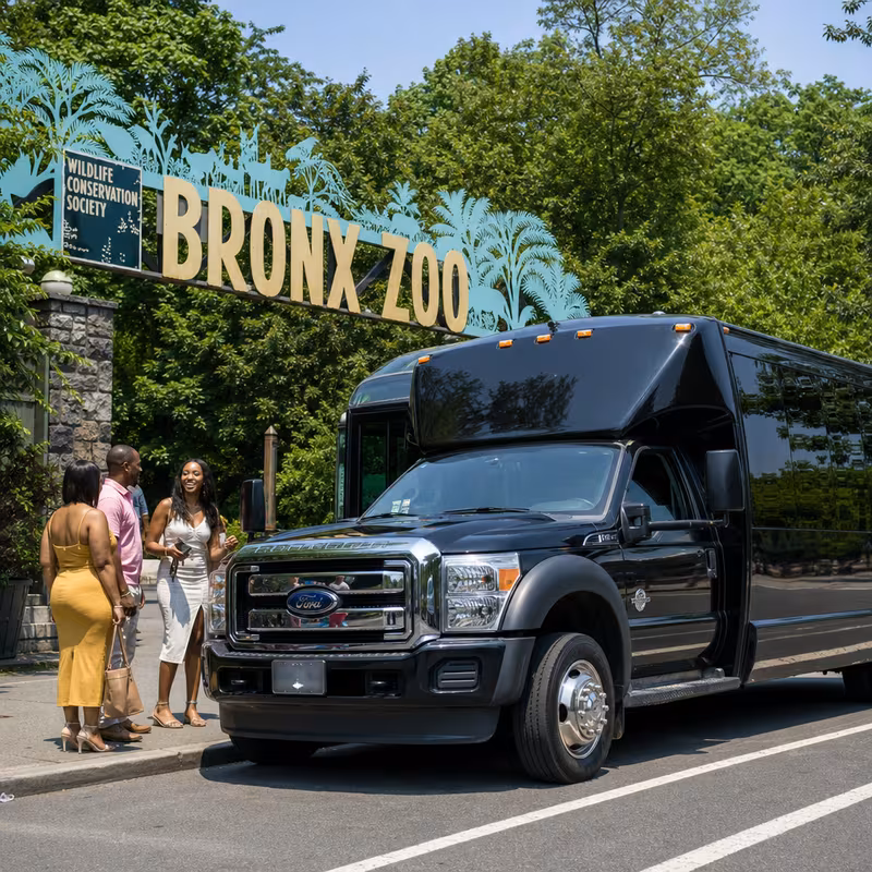 The Bronx Zoo